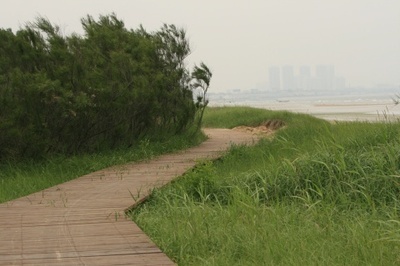 滩涂