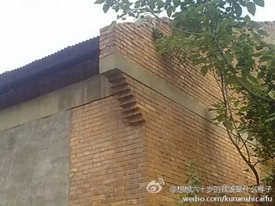 挑出
