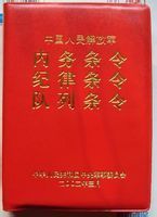 条令