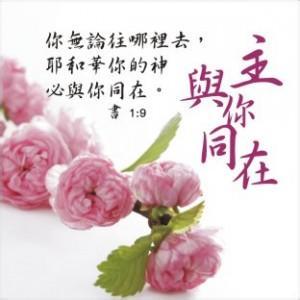 同在