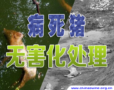无害