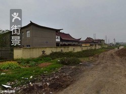 系马