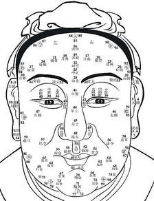 相面