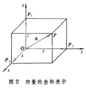 向量