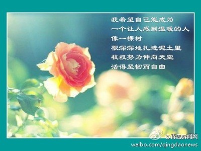 心语