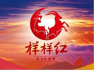 样样