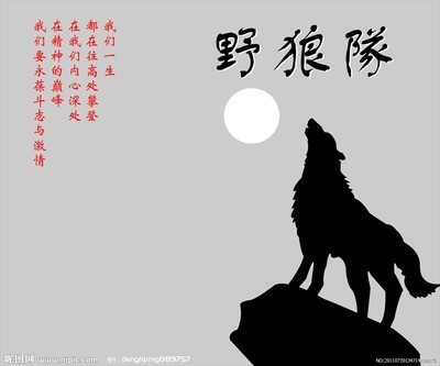 野狼