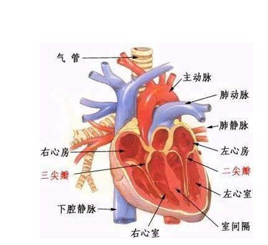 硬化