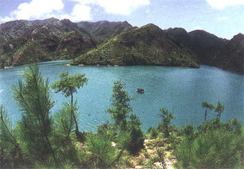 永康