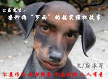 杂种