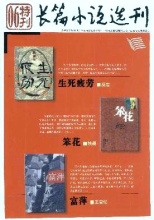 长篇