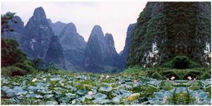 钟山