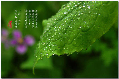 仲春