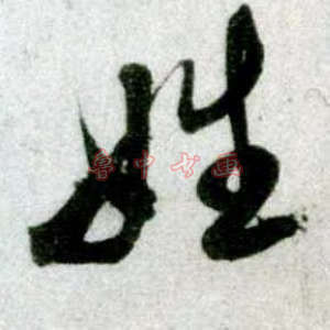 姓字