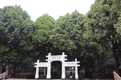 英风