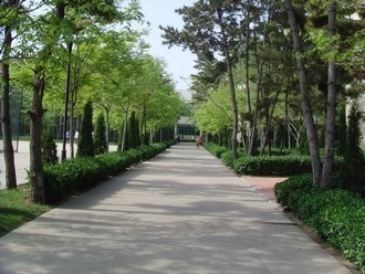 甬路