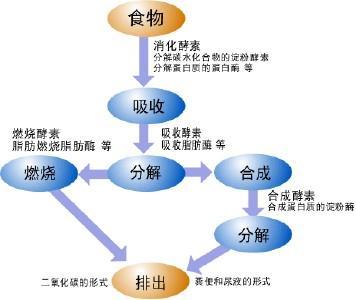 新陈