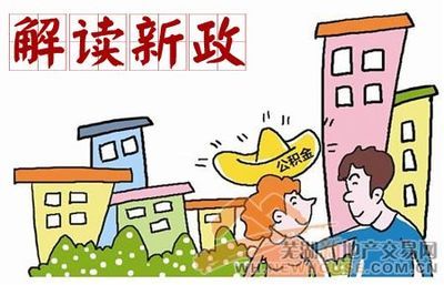 新政