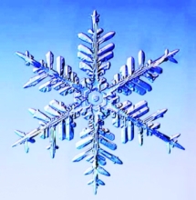 雪片