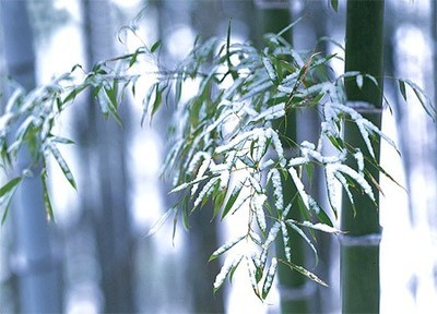 雪压