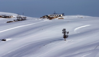 雪原