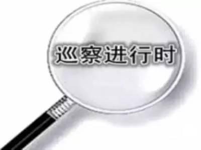 巡察