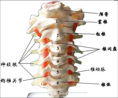 腰椎