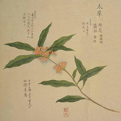 月令
