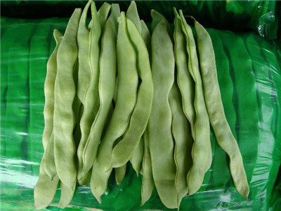 芸豆