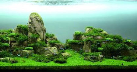 造景