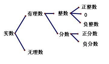 整数