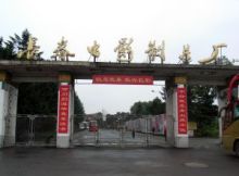 制片