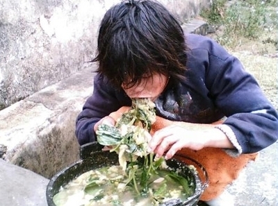 猪食