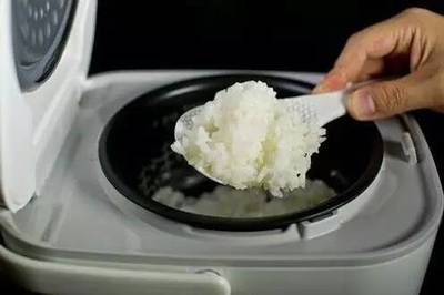 夹生