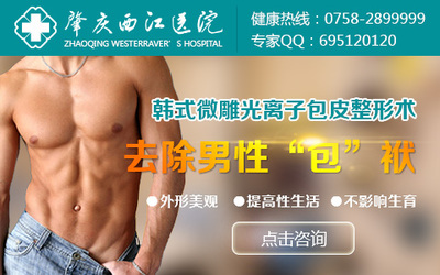 见告