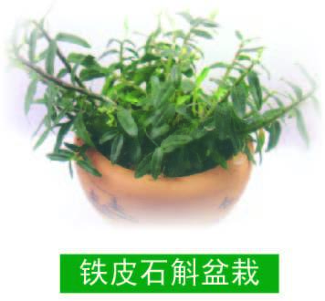 浆汁