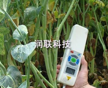 茎杆