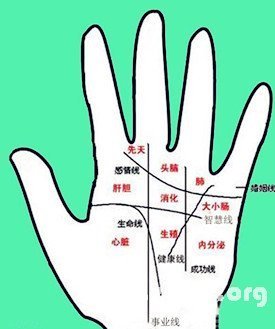 看向