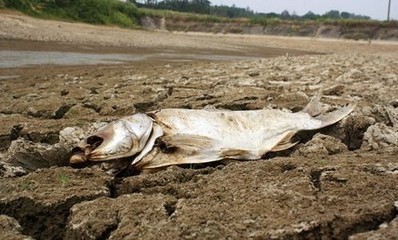 渴死