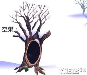 空巢