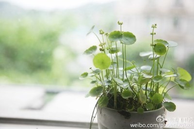 劳绩