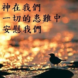 怜恤