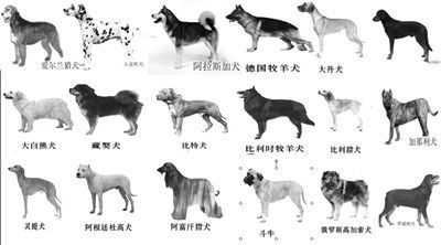 烈性