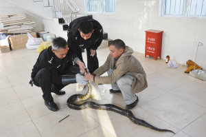 猎捕