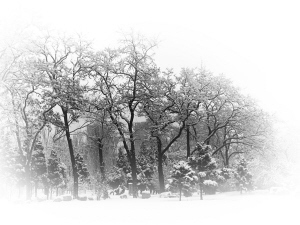 落雪