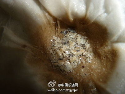 滤出