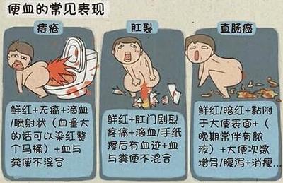 每回