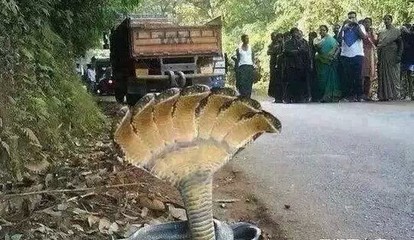 难见
