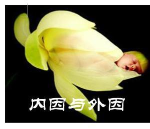 内因