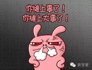 弄断